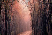 郑加恒不畏高山勇往直前 努力提升排名目标参奥.