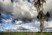 竞技宝:里程碑,格雷罗完成德甲生涯第200次出场.