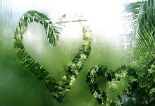 竞技宝：里程碑，格雷罗完成德甲生涯第200次出场.