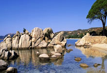 美职棒常规赛东京揭幕 道奇队取得“开门红”2025-03-20.